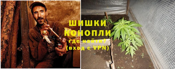ГАЛЛЮЦИНОГЕННЫЕ ГРИБЫ Арсеньев