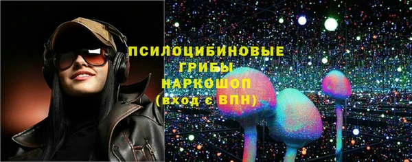 дмт Армянск