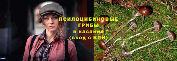 дмт Армянск