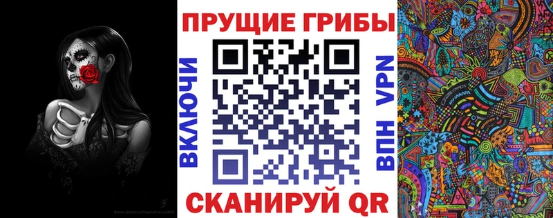 ОМГ ОМГ как войти  купить   Буинск  Галлюциногенные грибы Psilocybine cubensis 